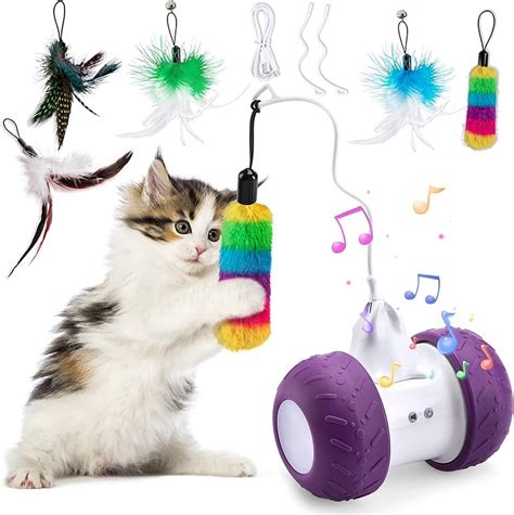 cat toys for home alone|best self entertaining cat toys.